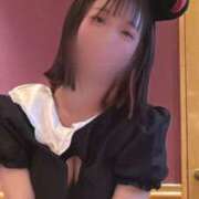 ヒメ日記 2025/11/26 20:24 投稿 めりな きらめけ！にゃんにゃん学園in大宮