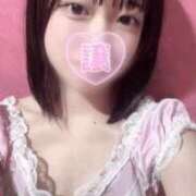 ヒメ日記 2025/11/30 13:23 投稿 めりな きらめけ！にゃんにゃん学園in大宮