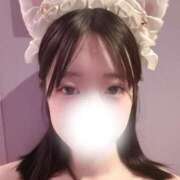 ヒメ日記 2025/12/07 22:51 投稿 めりな きらめけ！にゃんにゃん学園in大宮