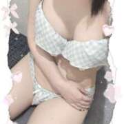 ヒメ日記 2025/12/16 12:30 投稿 めりな きらめけ！にゃんにゃん学園in大宮