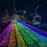 ヒメ日記 2025/12/19 17:53 投稿 めりな きらめけ！にゃんにゃん学園in大宮