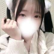 ヒメ日記 2025/12/22 20:17 投稿 めりな きらめけ！にゃんにゃん学園in大宮