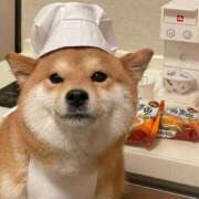 ヒメ日記 2025/11/07 03:57 投稿 きら 女の子がセルフで撮影する店！！成田デリヘル『生パネル』伝説