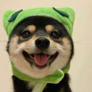 ヒメ日記 2025/11/07 19:27 投稿 きら 女の子がセルフで撮影する店！！成田デリヘル『生パネル』伝説