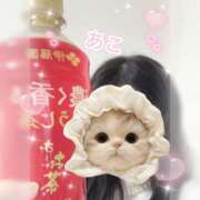 ヒメ日記 2025/11/08 13:01 投稿 あこ 丸妻 厚木店