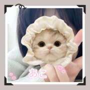 ヒメ日記 2025/11/10 08:50 投稿 あこ 丸妻 厚木店