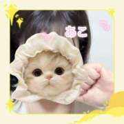 ヒメ日記 2025/11/15 18:36 投稿 あこ 丸妻 厚木店