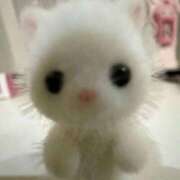 ヒメ日記 2025/11/09 04:03 投稿 夜神【やがみ】 ★無料オプション多数★成田若妻即即サークル【日本人専門店】