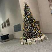 ヒメ日記 2025/11/16 20:02 投稿 ほづみ シャブール