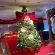 ヒメ日記 2025/12/23 15:35 投稿 ほづみ シャブール