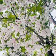 ヒメ日記 2026/04/17 16:57 投稿 ほづみ シャブール