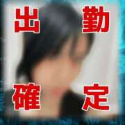 ヒメ日記 2025/11/14 06:44 投稿 つゆり トマトなび