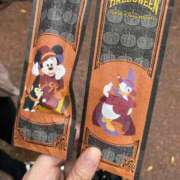 ヒメ日記 2025/11/18 16:42 投稿 つゆり トマトなび