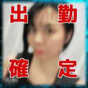 ヒメ日記 2025/11/20 06:42 投稿 つゆり トマトなび