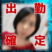 ヒメ日記 2025/12/19 06:51 投稿 つゆり トマトなび