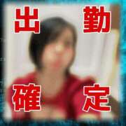 ヒメ日記 2025/12/22 06:51 投稿 つゆり トマトなび