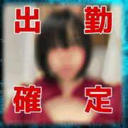 ヒメ日記 2026/01/19 06:09 投稿 つゆり トマトなび