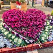 ヒメ日記 2025/12/16 13:30 投稿 みお⠀ NEO不夜城