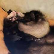 ヒメ日記 2025/12/18 17:29 投稿 みお⠀ NEO不夜城