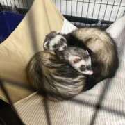 ヒメ日記 2026/01/12 23:01 投稿 みお⠀ NEO不夜城