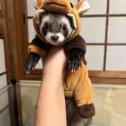 ヒメ日記 2026/01/24 23:39 投稿 みお⠀ NEO不夜城