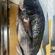 ヒメ日記 2026/01/28 21:30 投稿 みお⠀ NEO不夜城