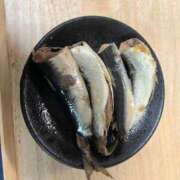 ヒメ日記 2026/01/28 23:19 投稿 みお⠀ NEO不夜城