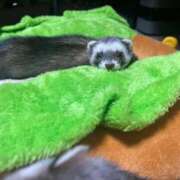 ヒメ日記 2026/01/31 07:39 投稿 みお⠀ NEO不夜城