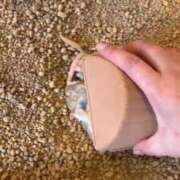 ヒメ日記 2026/02/04 08:29 投稿 みお⠀ NEO不夜城