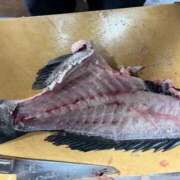 ヒメ日記 2026/02/08 08:09 投稿 みお⠀ NEO不夜城