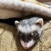 ヒメ日記 2026/03/23 20:19 投稿 みお⠀ NEO不夜城