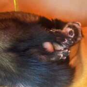 ヒメ日記 2026/04/05 19:09 投稿 みお⠀ NEO不夜城