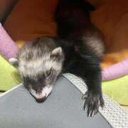 ヒメ日記 2026/04/23 17:29 投稿 みお⠀ NEO不夜城