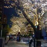 れみ 春めいてきましたね！ 織姫(大宮)