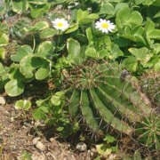 ヒメ日記 2026/05/16 12:13 投稿 れみ 織姫(大宮)