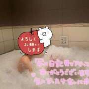 ヒメ日記 2025/12/24 14:04 投稿 わかば 吉祥寺ミセス・シンデレラ（シンデレラグループ）