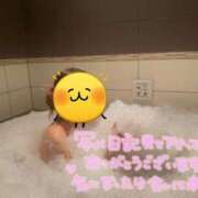 ヒメ日記 2025/12/30 10:11 投稿 わかば 吉祥寺ミセス・シンデレラ（シンデレラグループ）