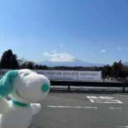 ヒメ日記 2026/03/22 12:11 投稿 わかば 吉祥寺ミセス・シンデレラ（シンデレラグループ）