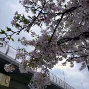 ヒメ日記 2026/04/02 15:21 投稿 あんず 夜這専門発情する奥様たち 谷九店