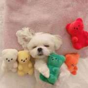 ヒメ日記 2025/11/18 23:26 投稿 四之宮ララ（長身・巨乳・ギャル） ソープランド ZERO