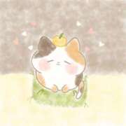 ヒメ日記 2026/01/15 06:32 投稿 【マロ】11月3日体験です。 マネキン神宮店