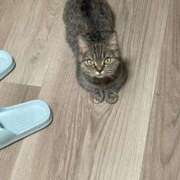 ヒメ日記 2025/11/13 00:56 投稿 ゆうあ お姉さんSelect