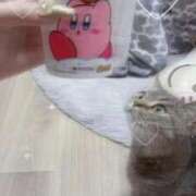 ヒメ日記 2025/11/15 02:06 投稿 ゆうあ お姉さんSelect