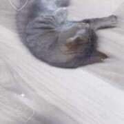 ヒメ日記 2025/11/16 02:06 投稿 ゆうあ お姉さんSelect