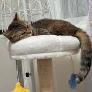 ヒメ日記 2025/11/22 13:16 投稿 ゆうあ お姉さんSelect