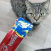 ヒメ日記 2025/11/24 00:56 投稿 ゆうあ お姉さんSelect