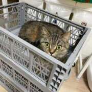 ヒメ日記 2025/11/25 01:06 投稿 ゆうあ お姉さんSelect