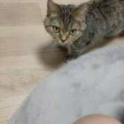 ヒメ日記 2025/11/29 01:36 投稿 ゆうあ お姉さんSelect