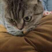 ヒメ日記 2025/12/01 01:17 投稿 ゆうあ お姉さんSelect