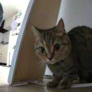 ゆうあ 昨日は🥲 お姉さんSelect